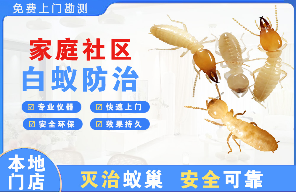 广安家庭社区白蚁防治