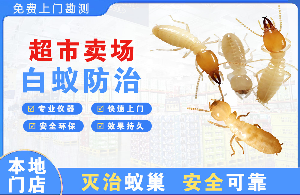 广安超市卖场白蚁防治