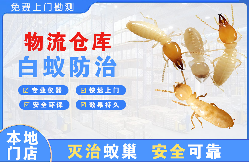 广安物流仓库白蚁防治