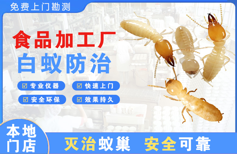 广安食品加工厂白蚁防治