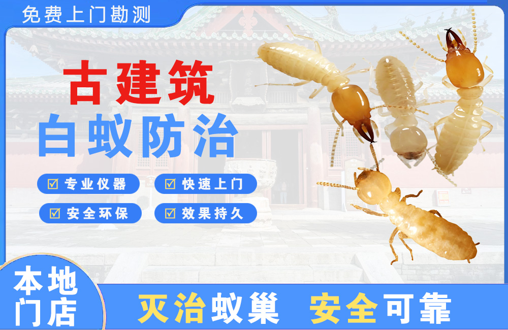 广安古建筑白蚁防治