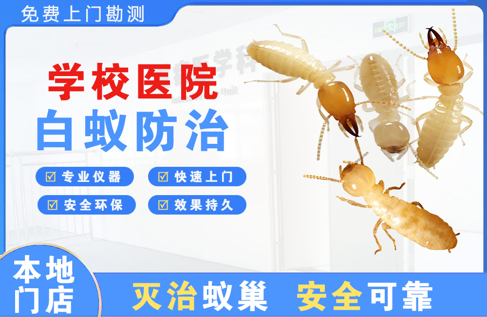 广安学校医院白蚁防治