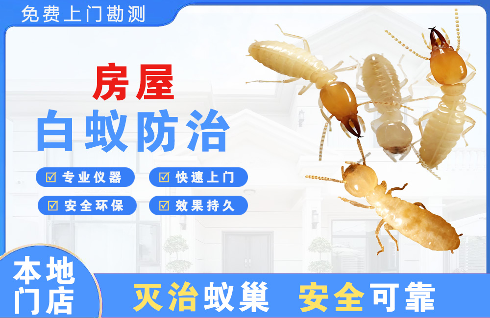 广安房屋白蚁防治