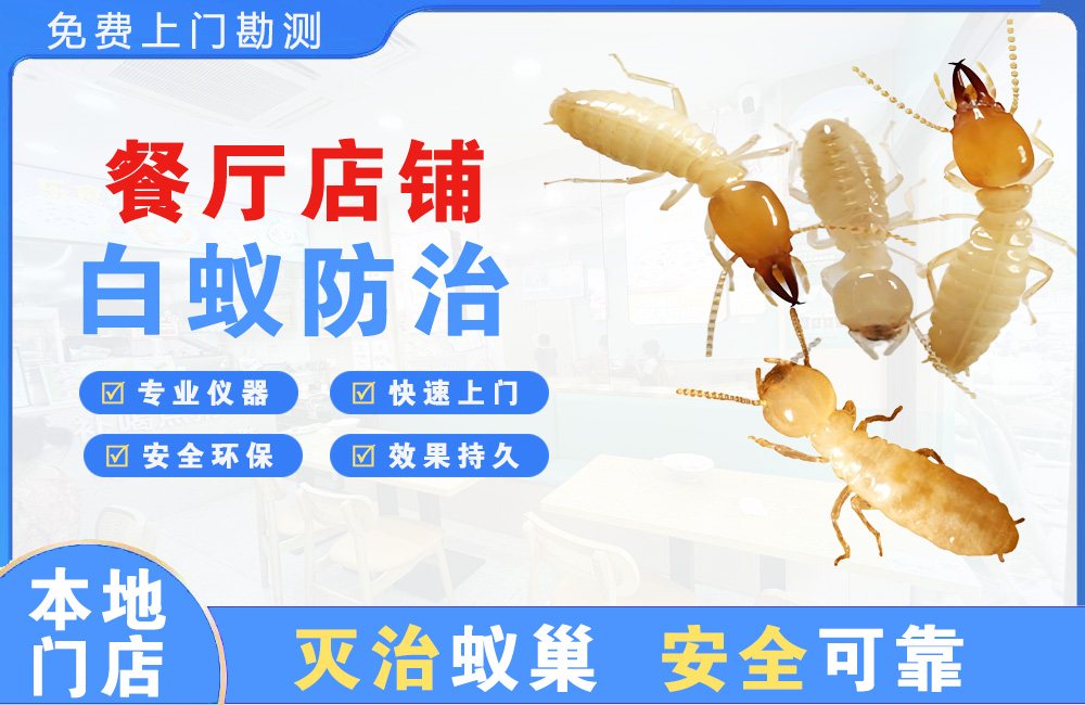 广安餐厅店铺白蚁防治